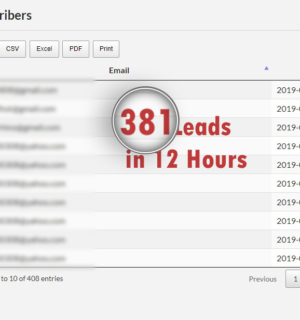 Who Else Wants 381 Leads In Just 12 Hours?